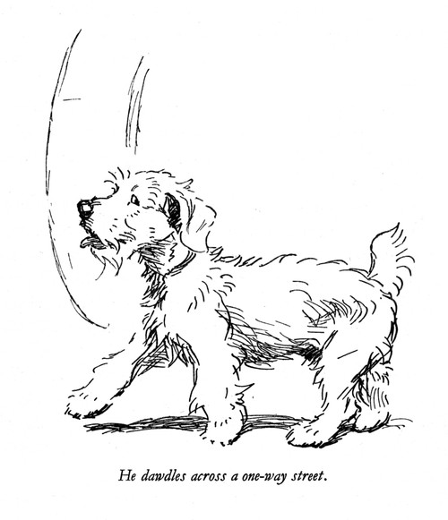 Illustration Of A Sealyham Terrier By Cecil Aldin Poster Print By Mary Evans Picture Library - Item # VARMEL10957500