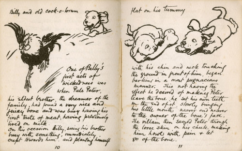 Illustrations By Cecil Aldin  Black Billy Poster Print By Mary Evans Picture Library - Item # VARMEL10956820