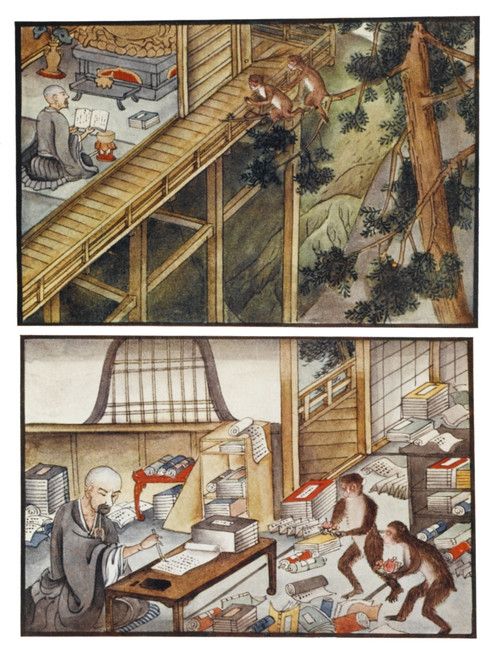 Monkeys Reincarnated Poster Print By Mary Evans Picture Library - Item # VARMEL10067197