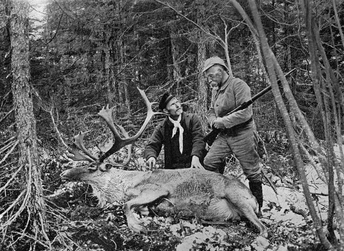 Newfoundland  Canada - Hunting Caribou Poster Print By Mary Evans / Grenville Collins Postcard Collection - Item # VARMEL10823742