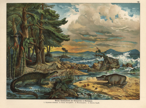 Triassic Landscape With Plants And Amphibians Poster Print By ® Florilegius / Mary Evans - Item # VARMEL10941175