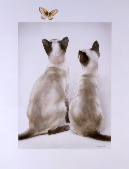 Two Cats And A Butterfly Poster Print By Malcolm Greensmith ® Adrian Bradbury/Mary Evans - Item # VARMEL10271152