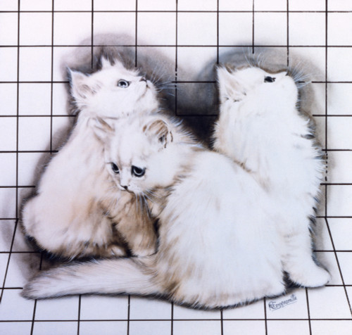 Three White Kittens Poster Print By Malcolm Greensmith ® Adrian Bradbury/Mary Evans - Item # VARMEL10271204