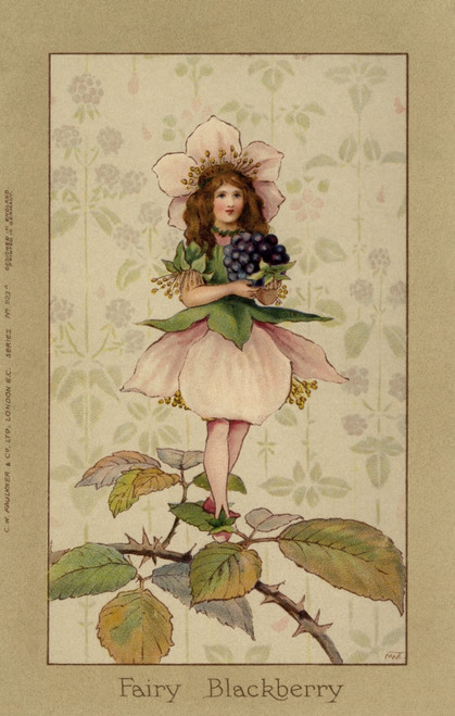 Blackberry Fairy Poster Print By Mary Evans Picture Library/Peter & Dawn Cope Collection - Item # VARMEL11045513