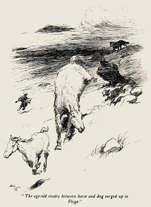 Illustration By Cecil Aldin  The Wild Horses Of Iceland Poster Print By Mary Evans Picture Library - Item # VARMEL10982170