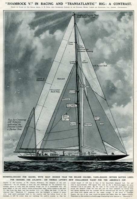 Shamrock V Yacht By G. H. Davis Poster Print By ® Illustrated London News Ltd/Mary Evans - Item # VARMEL10644740