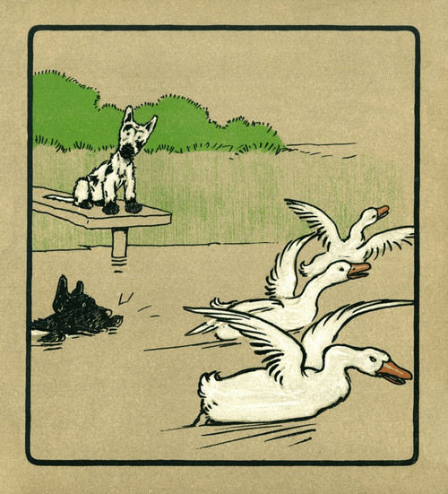 Illustration By Cecil Aldin  Rough And Tumble Poster Print By Mary Evans Picture Library - Item # VARMEL10980919