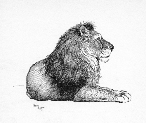 Illustration By Cecil Aldin  The Lion Poster Print By Mary Evans Picture Library - Item # VARMEL10956840