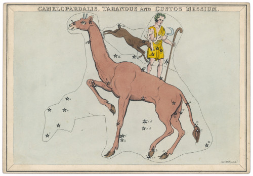 Guard Star Map Poster Print By Mary Evans Picture Library - Item # VARMEL10086613