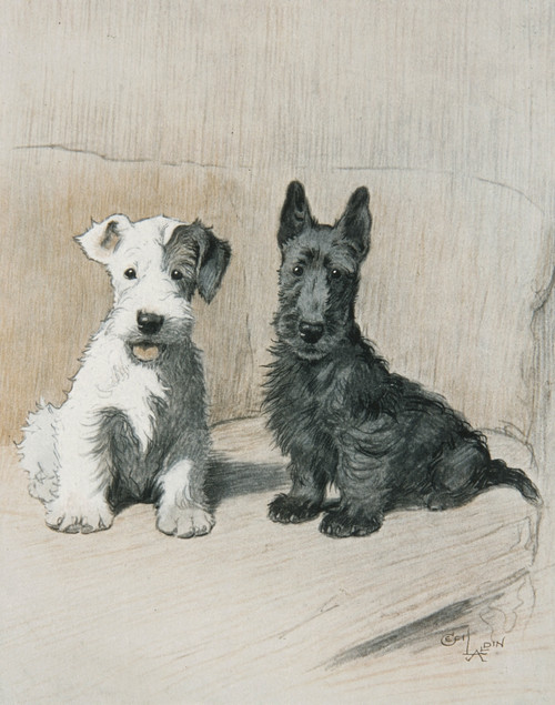 Two Scamps/Cecil Aldin Poster Print By Mary Evans Picture Library - Item # VARMEL10200999