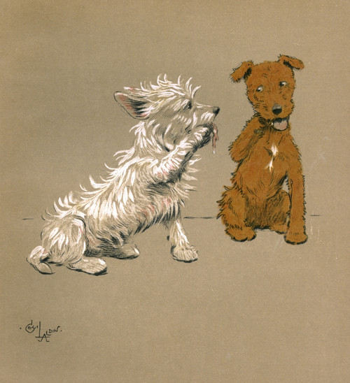 Illustration By Cecil Aldin  Mac Poster Print By Mary Evans Picture Library - Item # VARMEL10980936