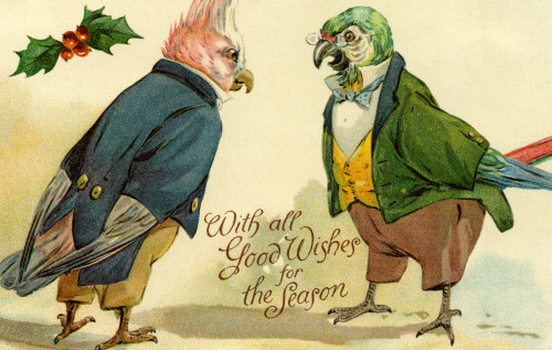 Cockatoos By G H Thompson Poster Print By Mary Evans Picture Library/Peter & Dawn Cope Collection - Item # VARMEL10514250