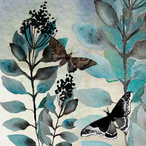 Butteryfly Perspective 3 Poster Print by Boho Hue Studio Boho Hue Studio # BHSSQ004C