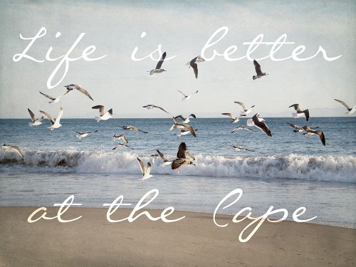 Cape Life Poster Print by Elizabeth Urquhart # EURC017A