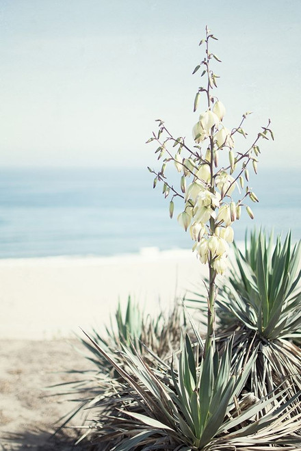 On The Edge I Poster Print by Elizabeth Urquhart # EURC002A