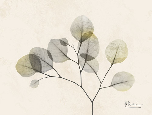 Sunkissed Eucalyptus 2 Poster Print by Albert Koetsier