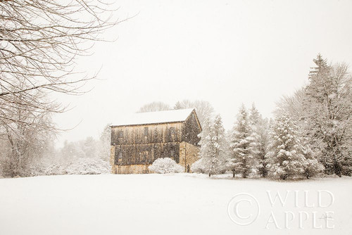 First Snow Poster Print by Aledanda - Item # VARPDX38290