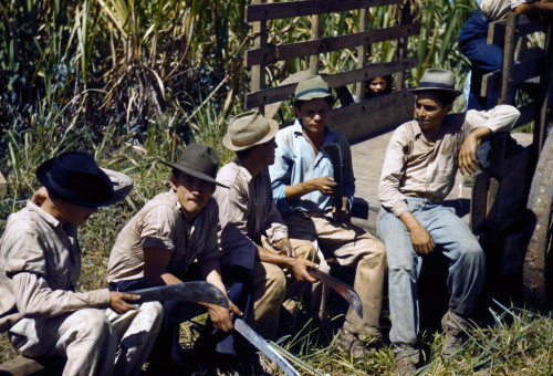 Puerto Rico. Sugar Cane Workers Resting At The Noon Hour History - Item # VAREVCHCDLCGBEC985