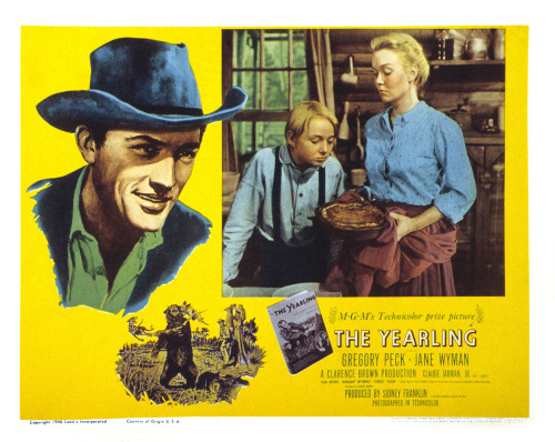 The Yearling Still - Item # VAREVCMSDYEAREC004