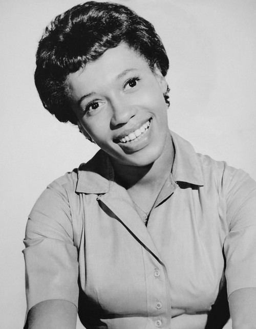 A Raisin In The Sun Portrait - Item # VAREVCMBDRAINEC157