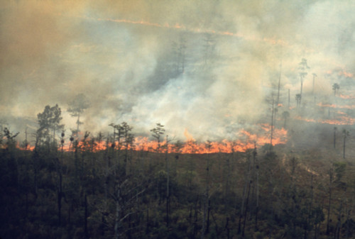 Burning Fields In The Florida Everglades Sends Smoke Over The Highly Populated East Coast Of Florida. Ca. 1973-75. History - Item # VAREVCHISL031EC253