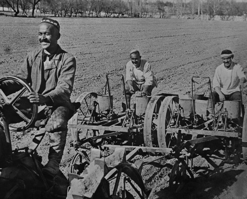 Planting Cotton On The Navai Collective Farm History - Item # VAREVCHISL040EC018