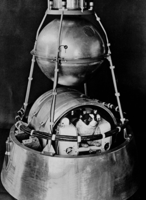 Sputnik Ii History - Item # VAREVCSSDSPUTCS001