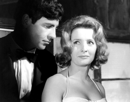 Nothing But The Best Still - Item # VAREVCMBDNOBUEC121