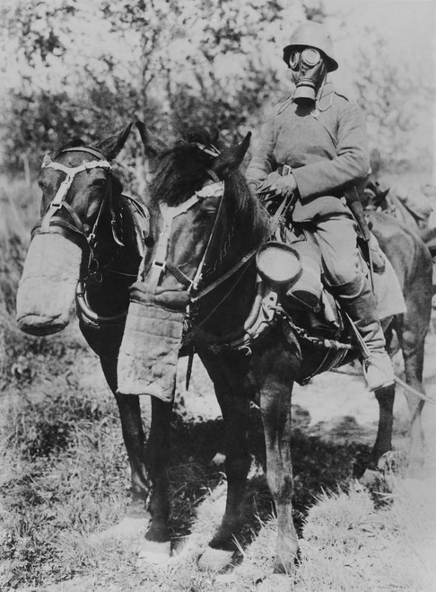 Soldier And Horses Wearing Gas Masks During World War 1. Photo Taken During The Fighting On The Winterberg History - Item # VAREVCHISL043EC348