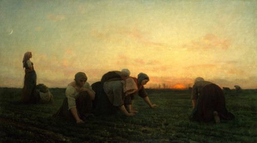 The Weeders Fine Art