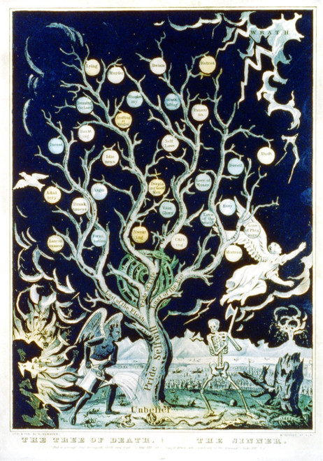 The Tree Of Death - The Sinner History - Item # VAREVCHCDLCGBEC693