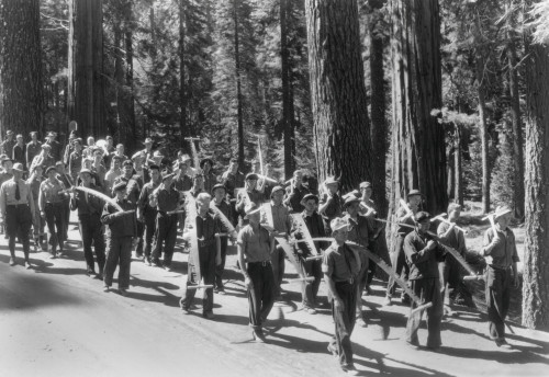 Civilian Conservation Corps Work Force In Yosemite National Park History - Item # VAREVCHISL035EC701