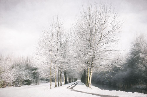 Winter Is Here Poster Print by Lars Van de Goor - Item # VARPDX19341