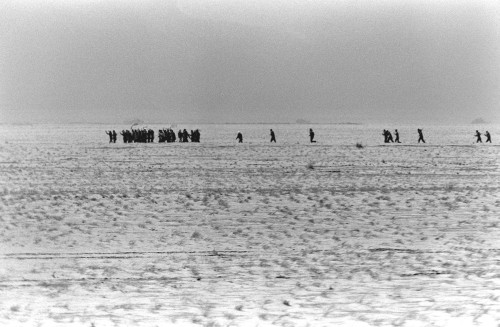 Iraqi Soldiers Surrender To The 1St Marine Division During The Third Day Of The Ground War Of Operation Desert Storm. Feb. 26 1991. History - Item # VAREVCHISL027EC247