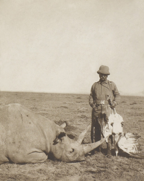 Theodore Roosevelt Holding A Dead Bustard And Standing Next To A Dead Rhinoceros. Aug.-Dec. 1909 During The Smithsonian_Roosevelt African Expedition History - Item # VAREVCHISL045EC250