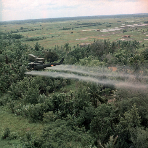 Vietnam War History - Item # VAREVCHCDARNAEC040