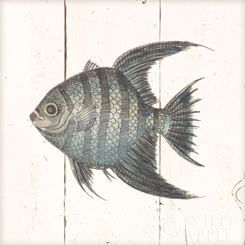 Fish Sketches Ii Shiplap Poster Print by Wild Apple Portfolio - Item # VARPDX36262