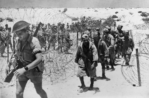 Italian And German Prisoners Of War Captured In The El Alamein History - Item # VAREVCHISL036EC645