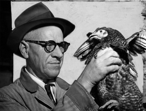 Lester P. W. Wehle History - Item # VAREVCHCDLCGCEC593