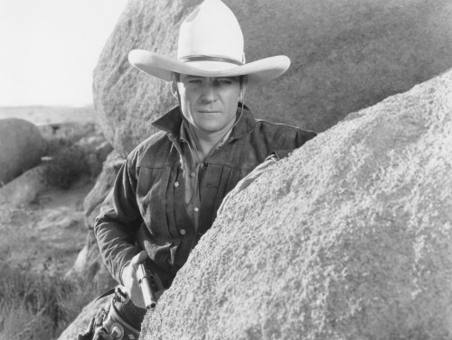 Desert Vengeance Portrait - Item # VAREVCMBDDEVEEC001