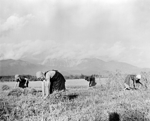 Yugoslavia History - Item # VAREVCHCDLCGAEC988