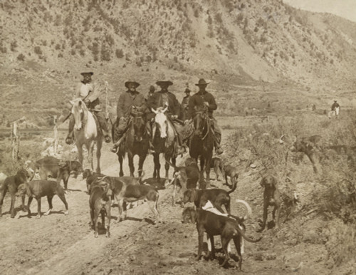 President Theodore Roosevelt And Other Men On Horseback With A Pack Of Hunting Dogs. L-R The President History - Item # VAREVCHISL044EC762
