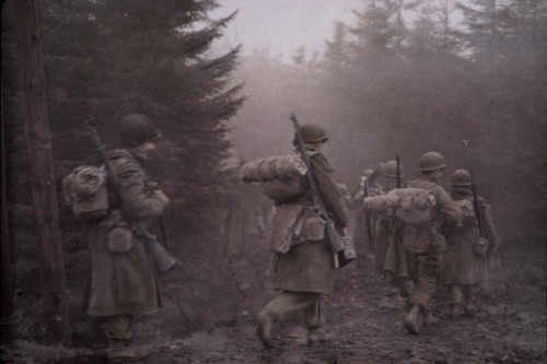 U.S. Airborne Division In An Ardennes Forest In The First Days Of The Battle Of The Bulge. Dec. 12-22 History - Item # VAREVCHISL037TX263