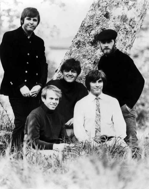 The Beach Boys History - Item # VAREVCPBDBEBOCS002