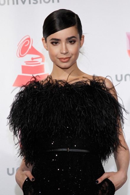 Sofia Carson In The Press Room For 18Th Annual Latin Grammy Awards Show - Press Room, Mgm Grand Garden Arena, Las Vegas, Nv November 16, 2017. Photo By JaEverett Collection Celebrity - Item # VAREVC1716N07JO005