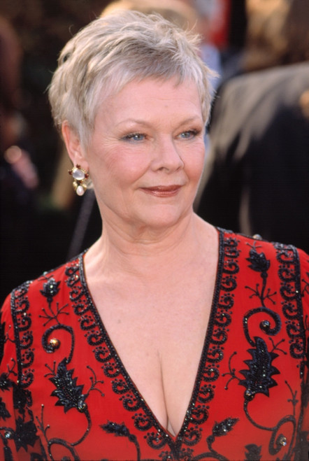Judi Dench At Academy Awards, 3252001, By Robert Hepler Celebrity - Item # VAREVCPSDJUDEHR004