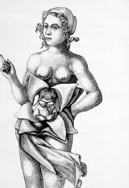 Pregnant Woman With Child In Normal Position History - Item # VAREVCS4DPREGEC001