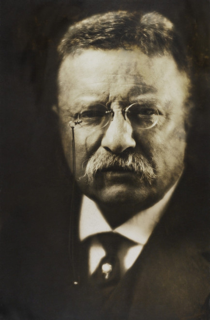 Col. Theodore Roosevelt Seated In A Carriage History - Item # VAREVCHISL045EC240