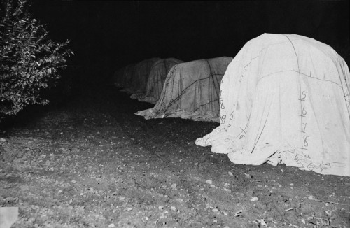 California History - Item # VAREVCHCDLCGCEC066