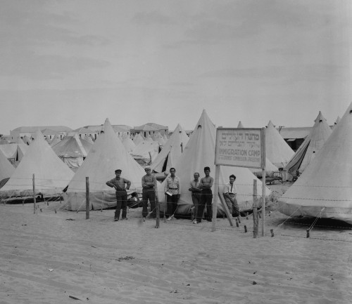 Immigration Camp For Newly Arrived Jews In Tel Aviv History - Item # VAREVCHISL017EC009 Immigration Camp For Newly Arrived Jews In Tel Aviv History - Item # VAREVCHISL017EC009